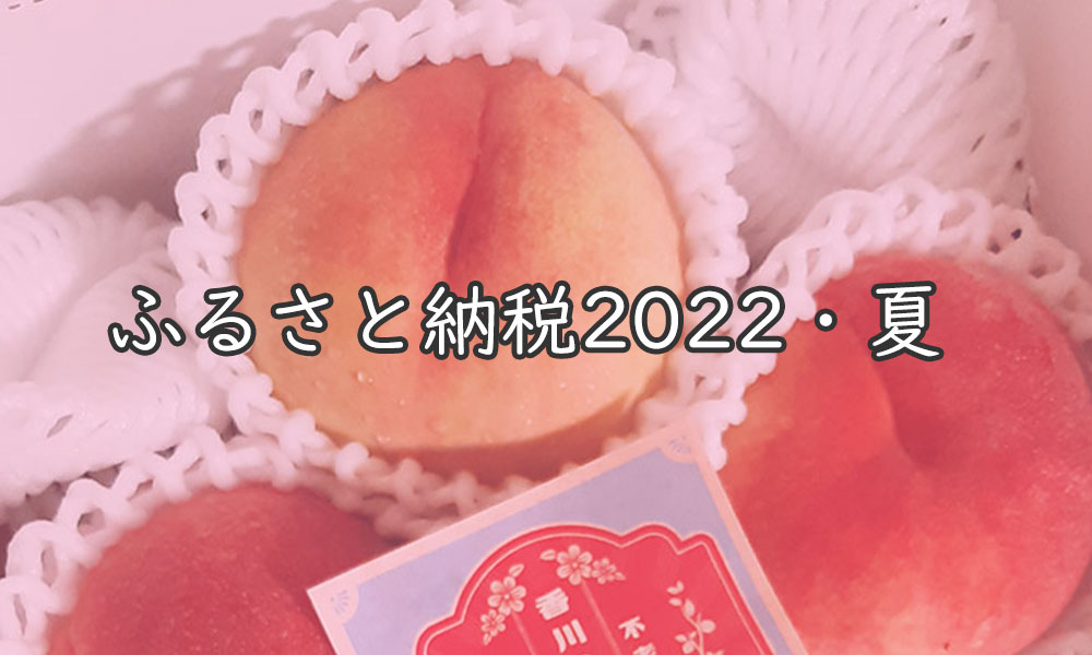 ふるさと納税2022年夏
