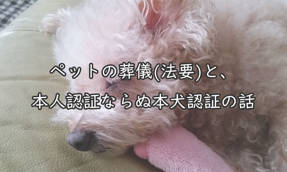 ペットの葬儀(法要)と、本人認証ならぬ本犬認証の話