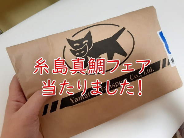 糸島真鯛フェア当選